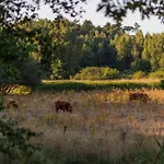 Huttopia De Meinweg Herkenbosch