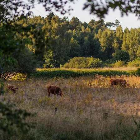 Huttopia De Meinweg Херкенбош