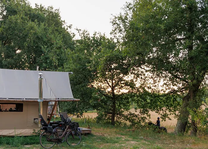 Huttopia De Meinweg Campingplads Herkenbosch