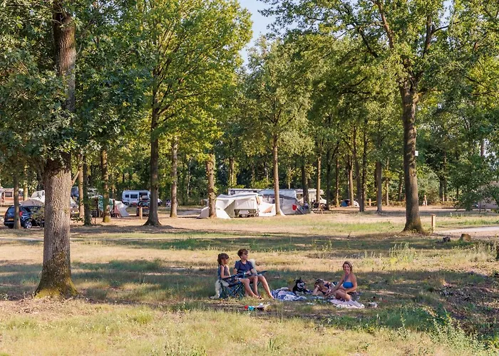 Huttopia De Meinweg Kamp alanı Herkenbosch