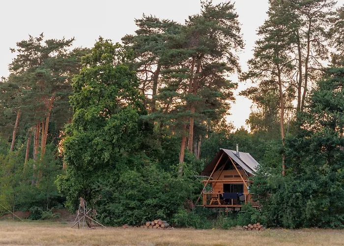 Kamp alanı Huttopia De Meinweg Herkenbosch