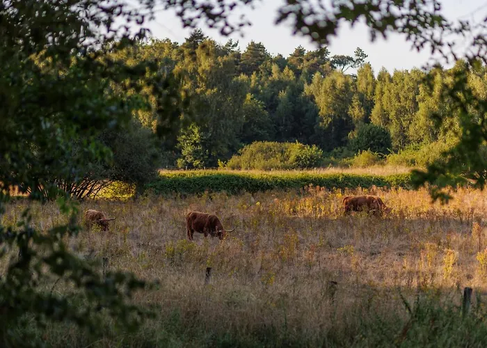 Huttopia De Meinweg Herkenbosch